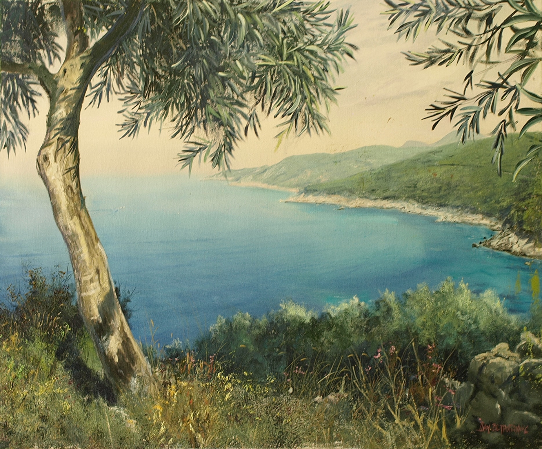 OLYMPUS DIGITAL CAMERA Ασπρογιάννης Δημήτρης (3) - Image 1
